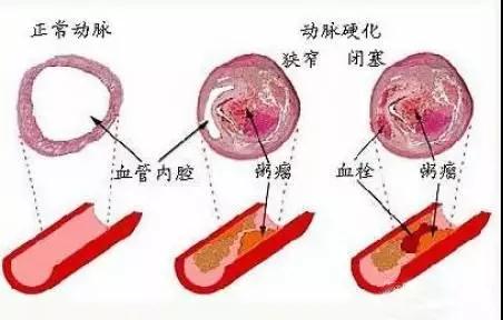 微信圖片_20190702143626.jpg